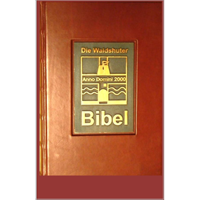 Die Waldshuter Bibel - Peter Fleck