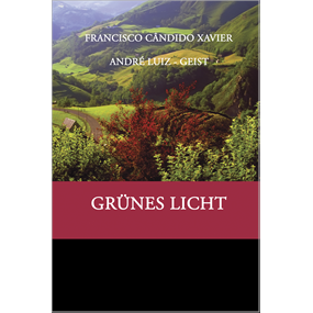 GRÜNES LICHT - SCHEIN DASS